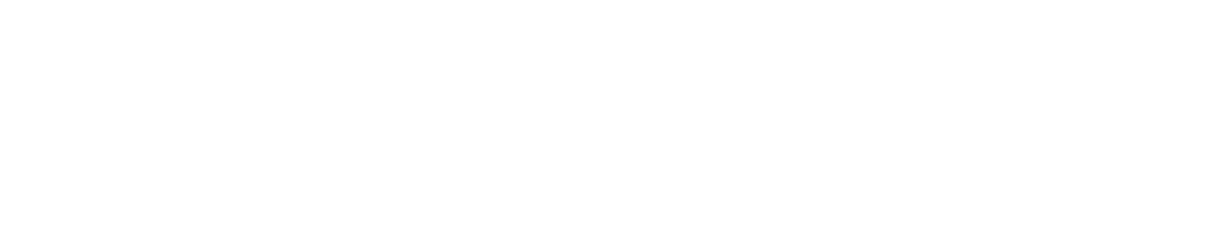 Solutions First Financial Group